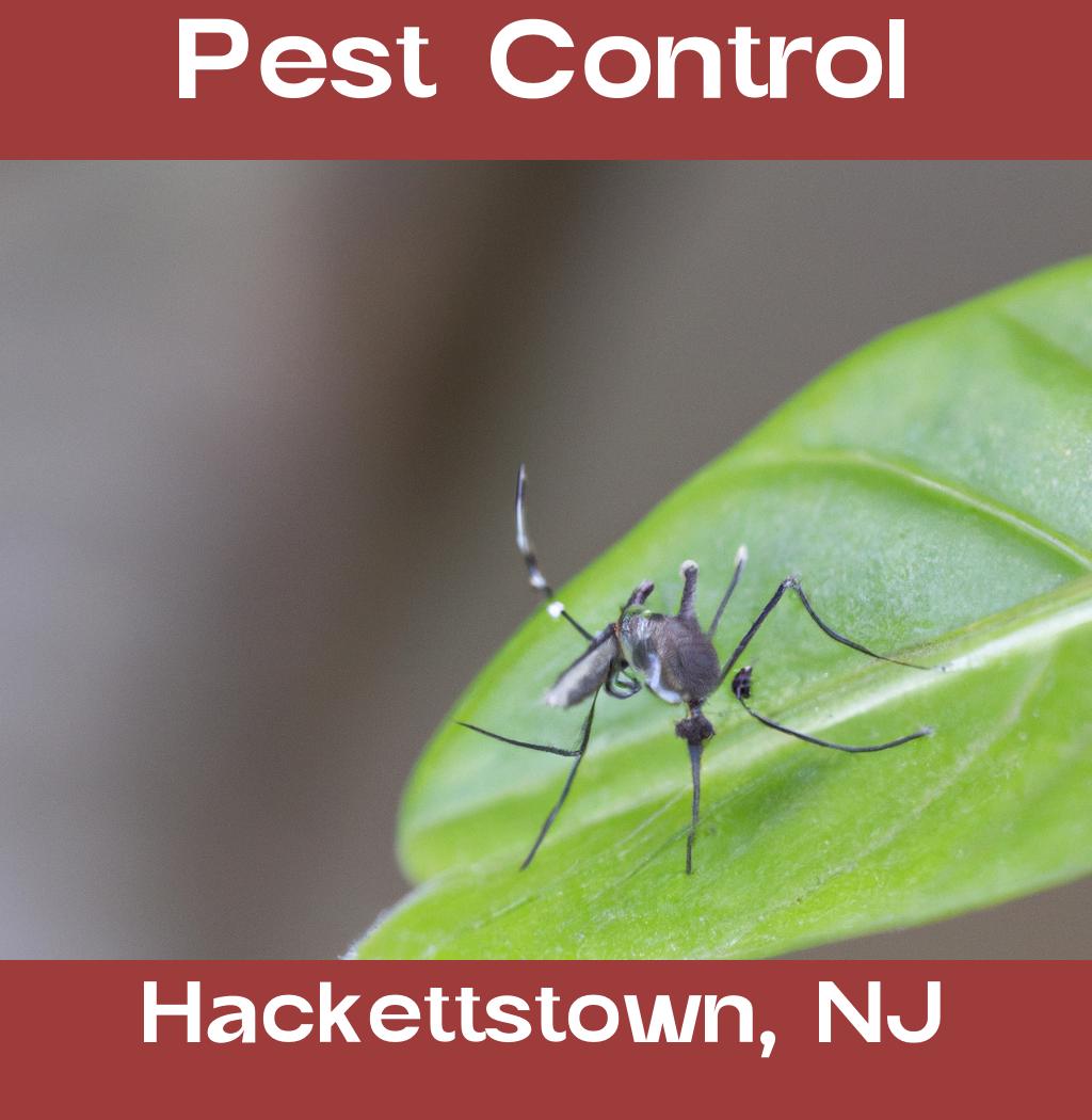 pest control in Hackettstown New Jersey