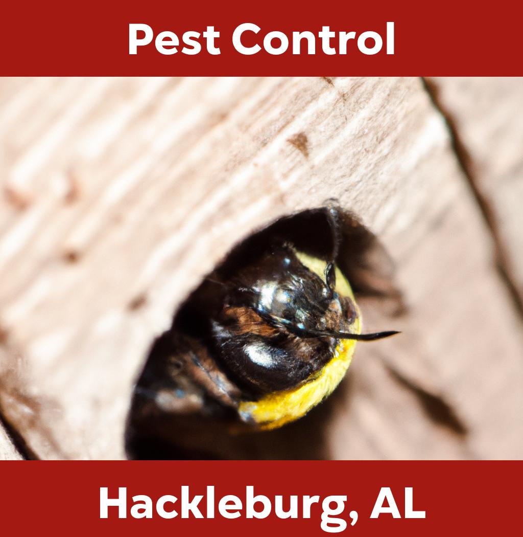pest control in Hackleburg Alabama