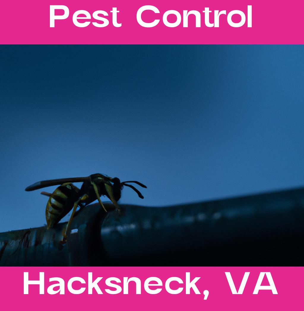 pest control in Hacksneck Virginia