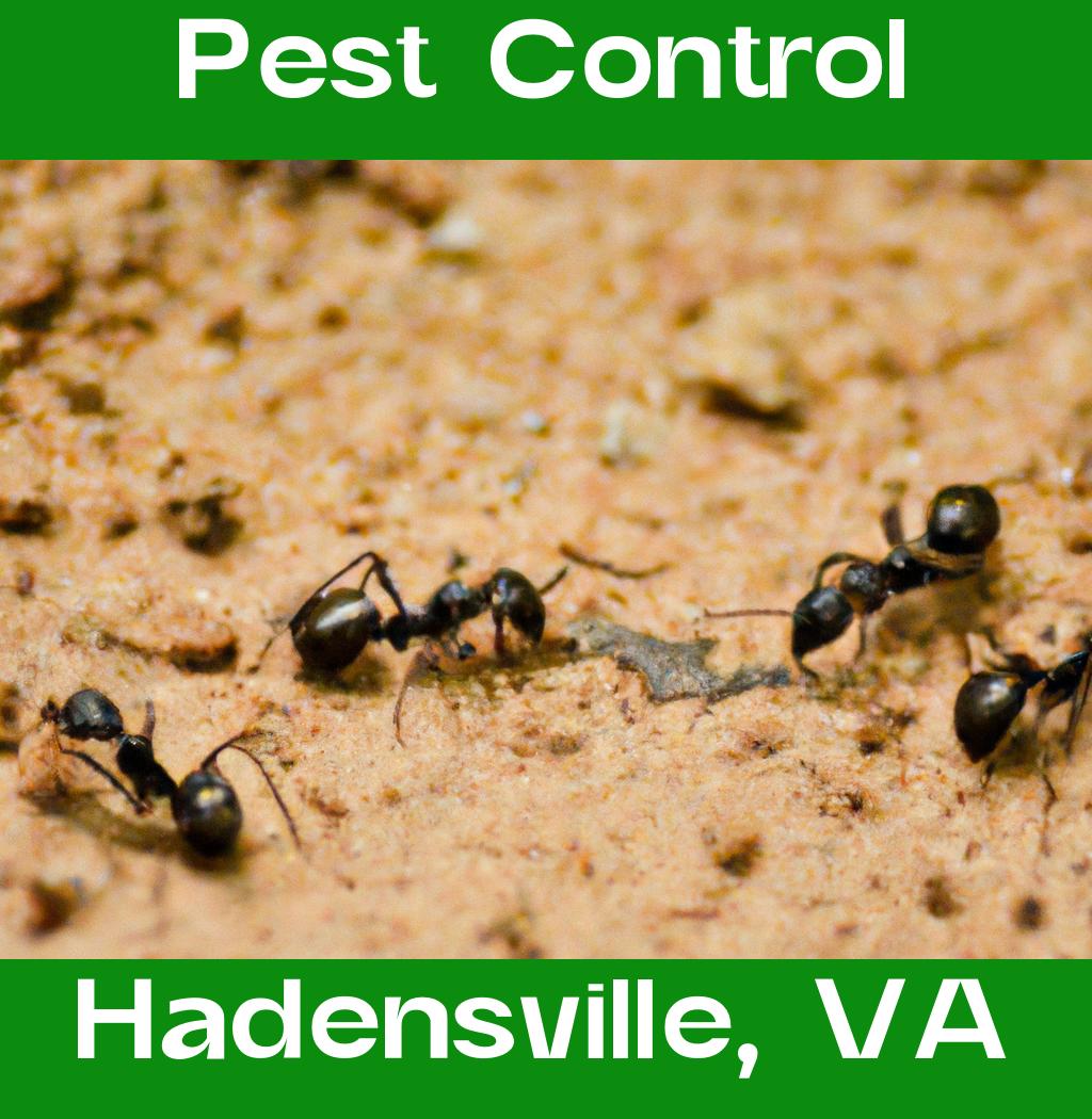 pest control in Hadensville Virginia