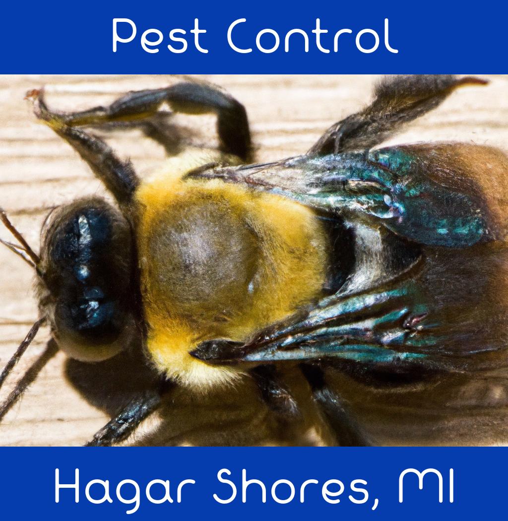 pest control in Hagar Shores Michigan