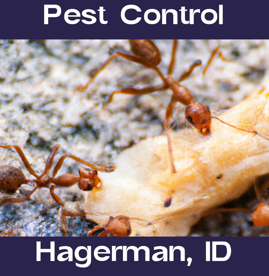 pest control in Hagerman Idaho
