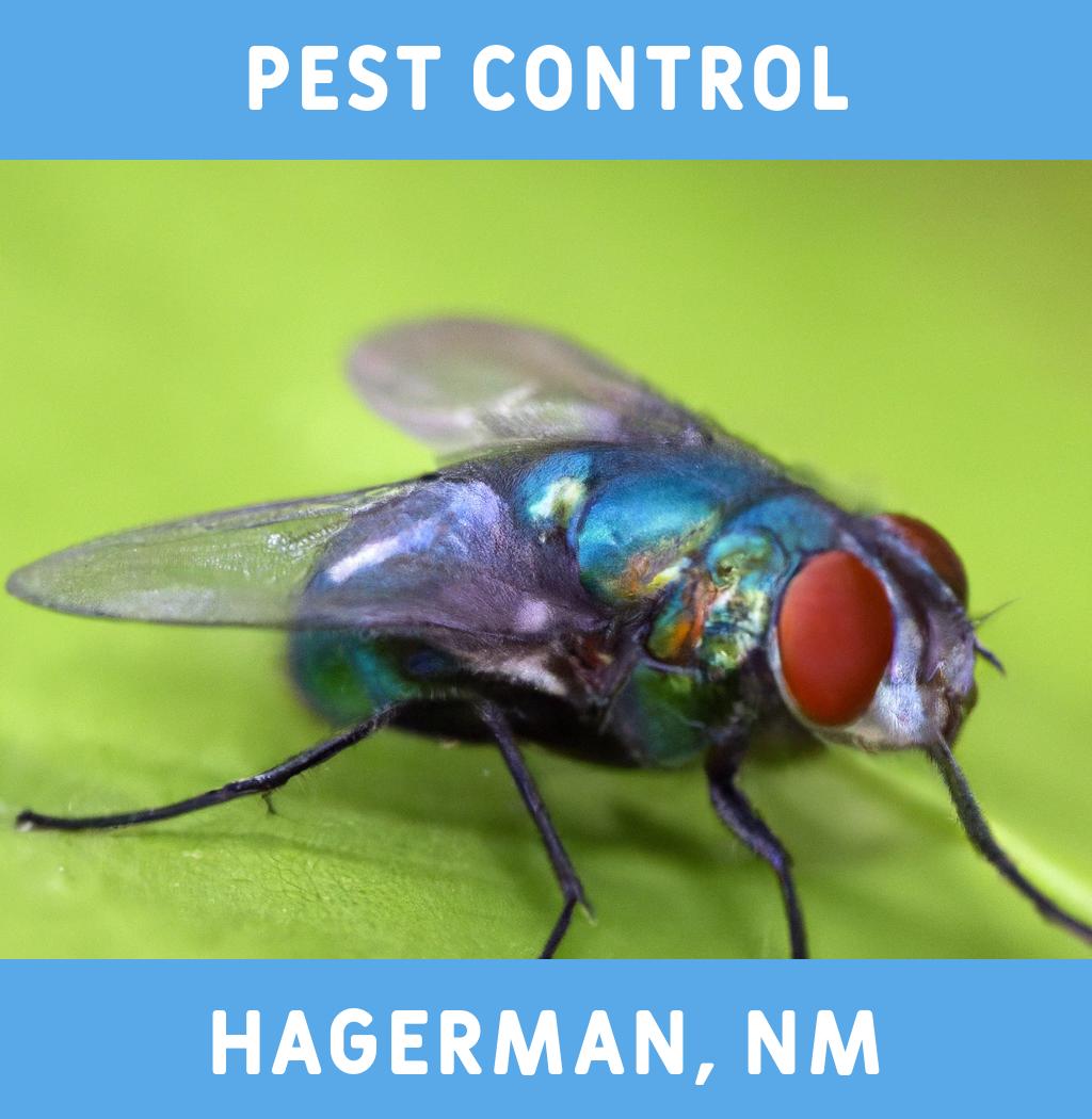 pest control in Hagerman New Mexico