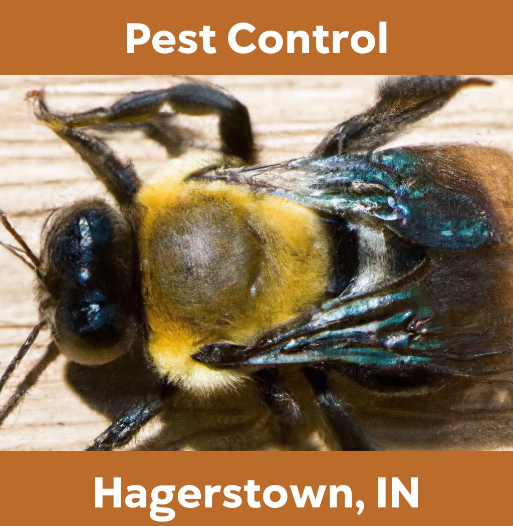 pest control in Hagerstown Indiana