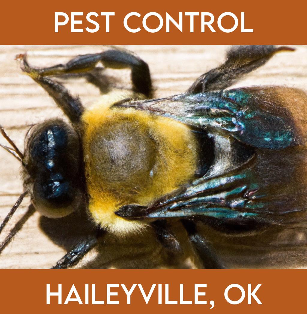 pest control in Haileyville Oklahoma