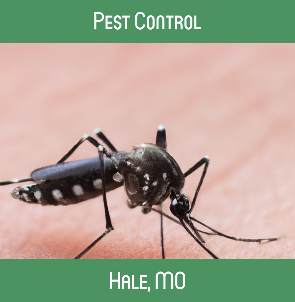 pest control in Hale Missouri