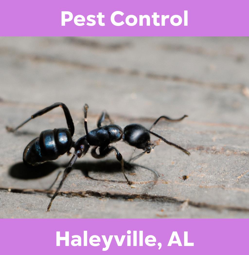pest control in Haleyville Alabama