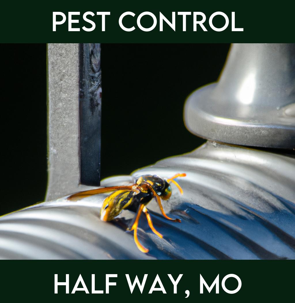 pest control in Half Way Missouri