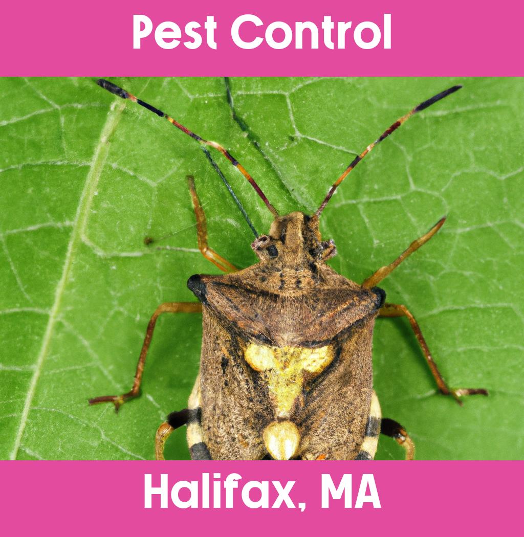 pest control in Halifax Massachusetts