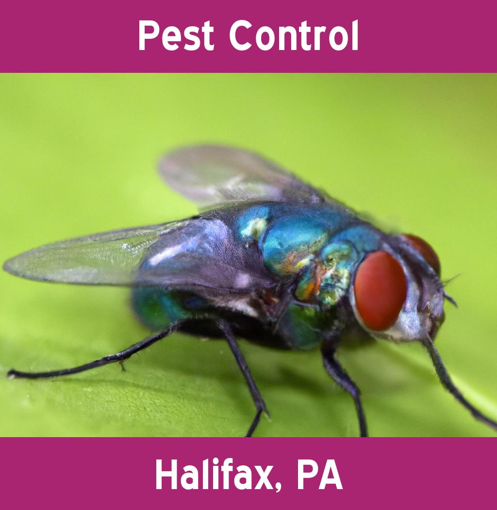 pest control in Halifax Pennsylvania