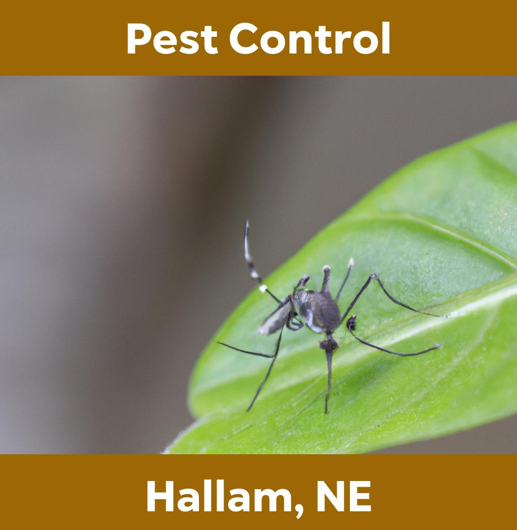 pest control in Hallam Nebraska