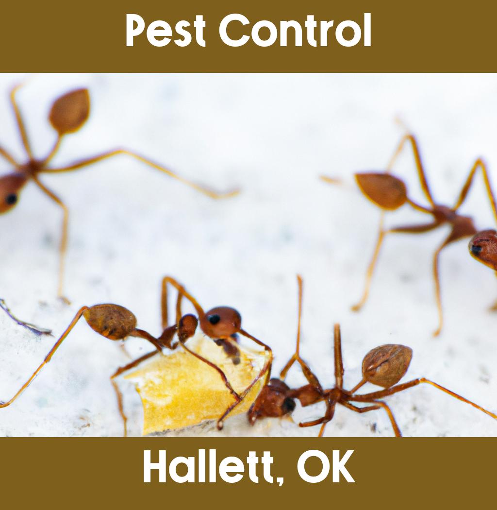 pest control in Hallett Oklahoma