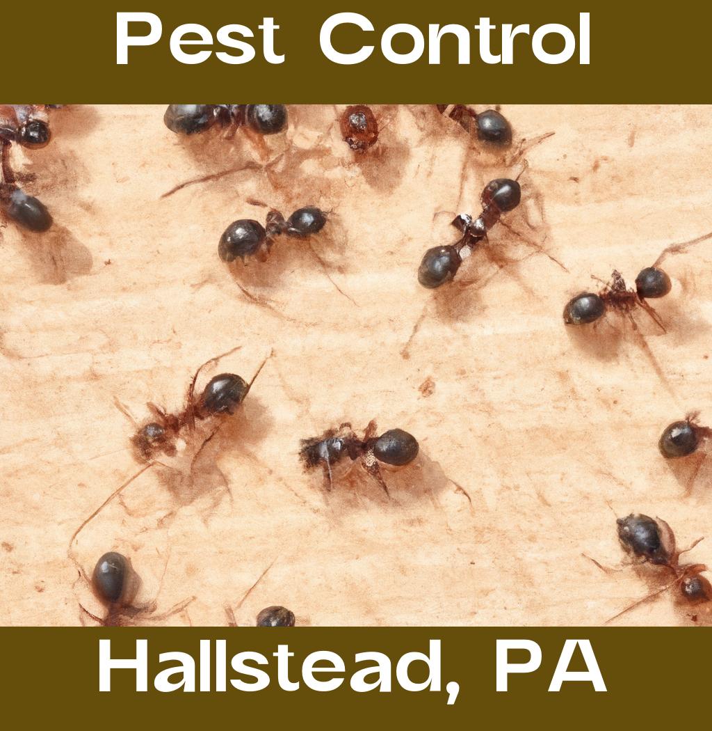 pest control in Hallstead Pennsylvania