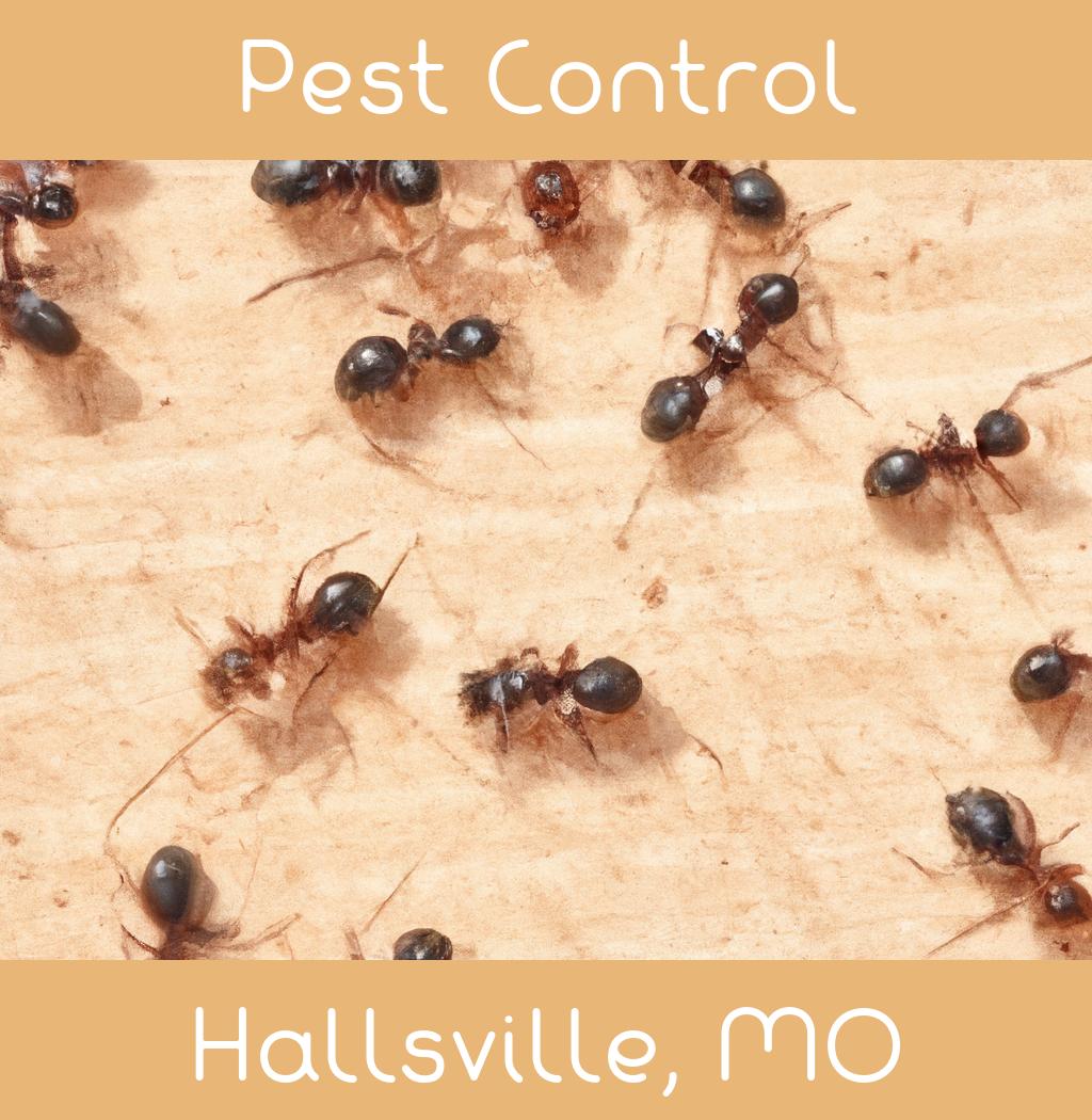 pest control in Hallsville Missouri