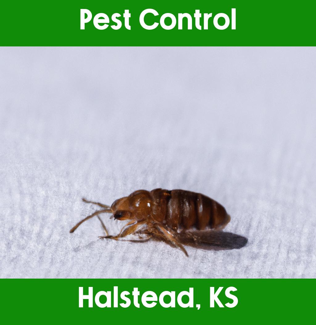 pest control in Halstead Kansas