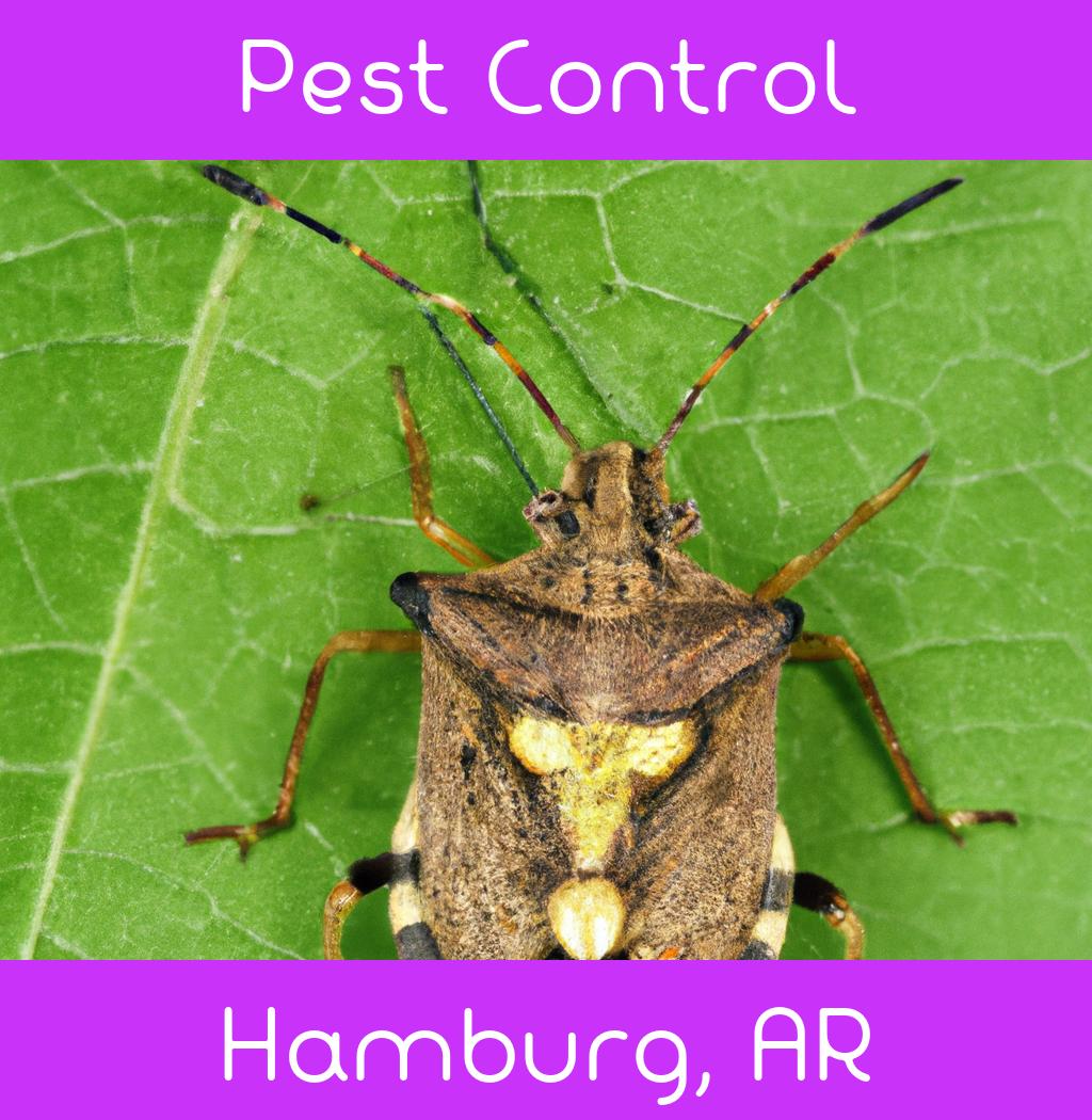 pest control in Hamburg Arkansas