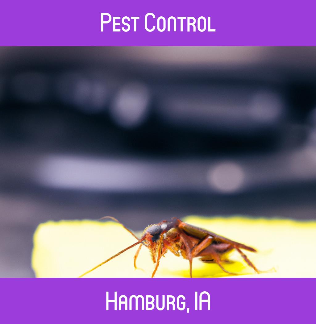 pest control in Hamburg Iowa