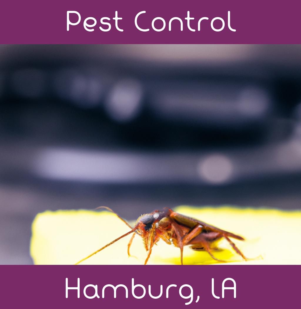 pest control in Hamburg Louisiana