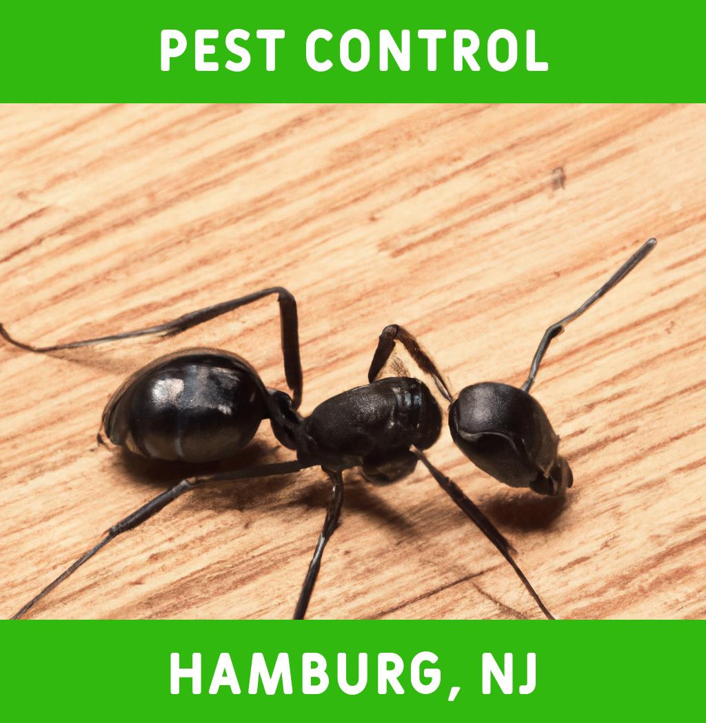 pest control in Hamburg New Jersey
