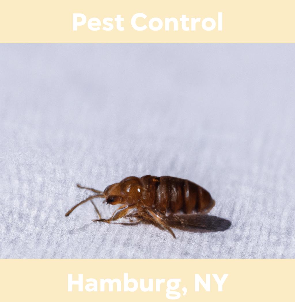 pest control in Hamburg New York