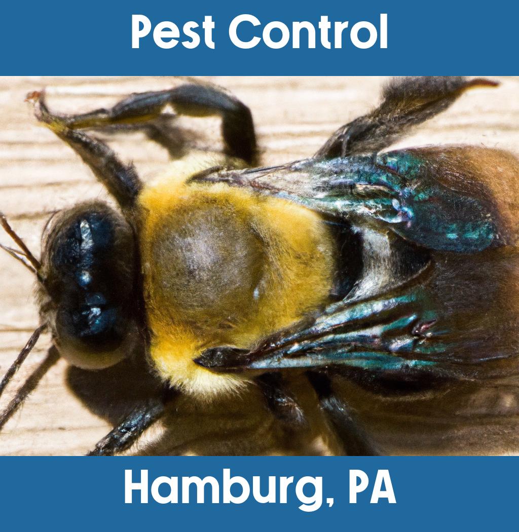 pest control in Hamburg Pennsylvania
