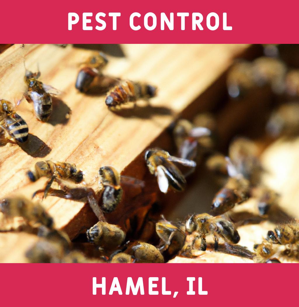 pest control in Hamel Illinois
