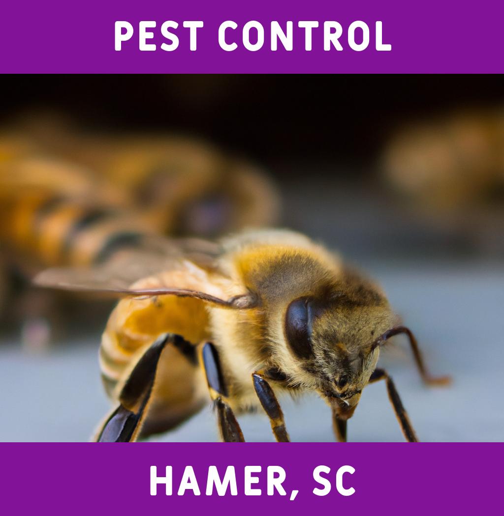 pest control in Hamer South Carolina