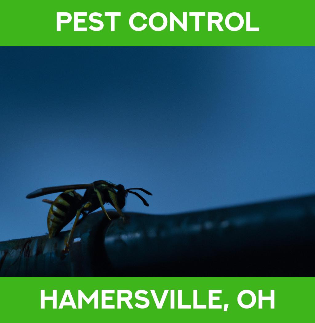 pest control in Hamersville Ohio