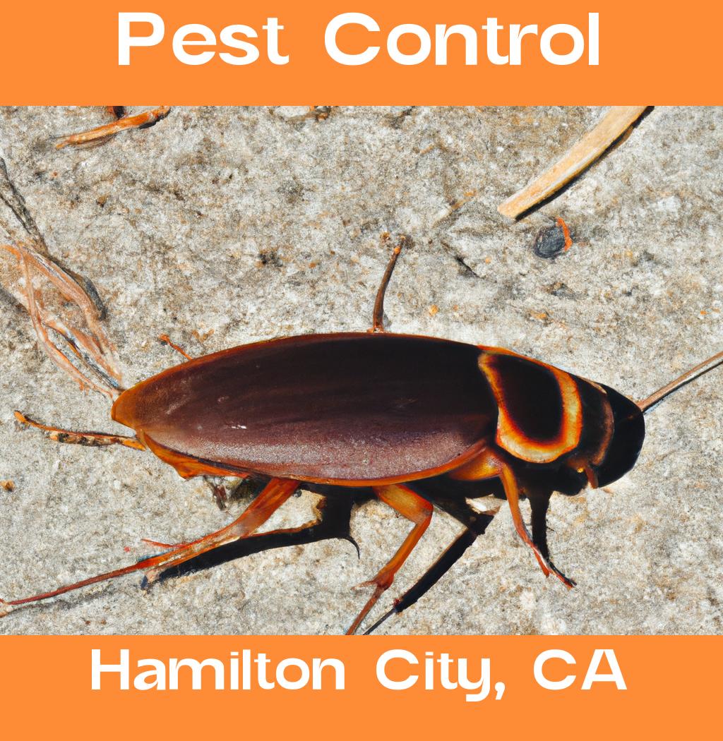 pest control in Hamilton City California