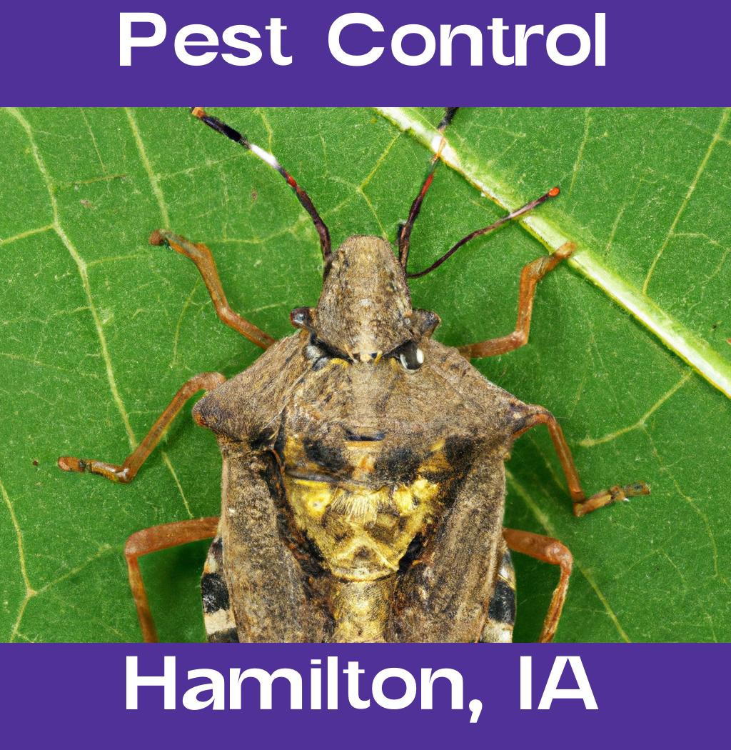 pest control in Hamilton Iowa