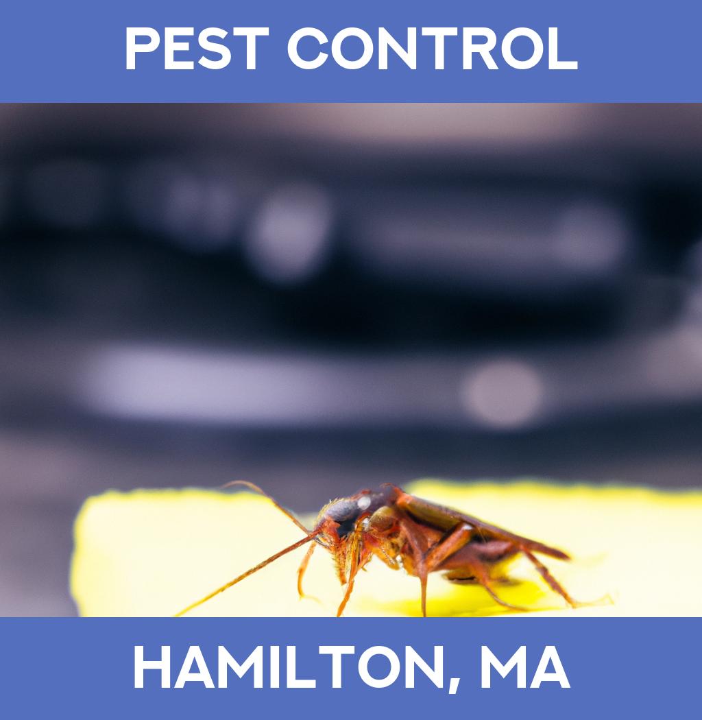 pest control in Hamilton Massachusetts