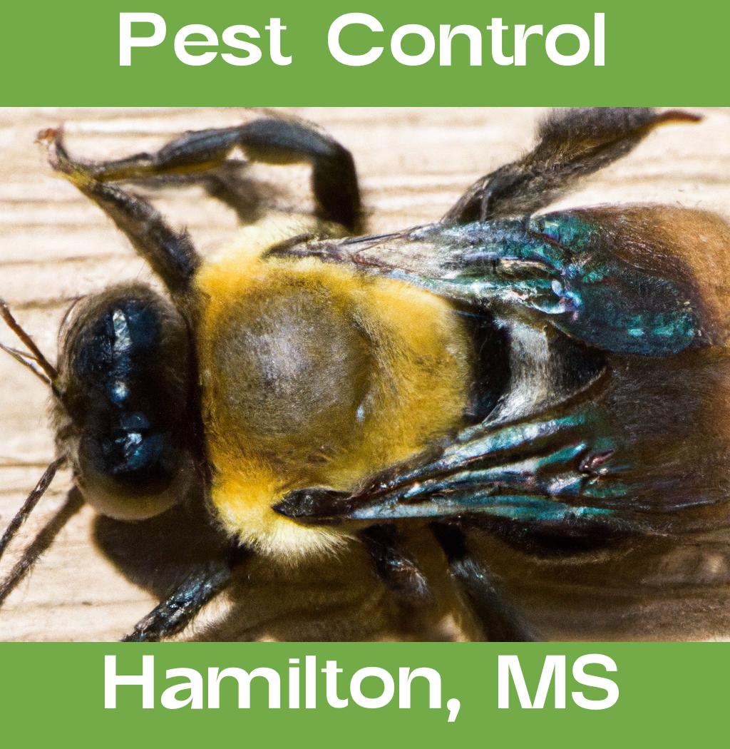 pest control in Hamilton Mississippi