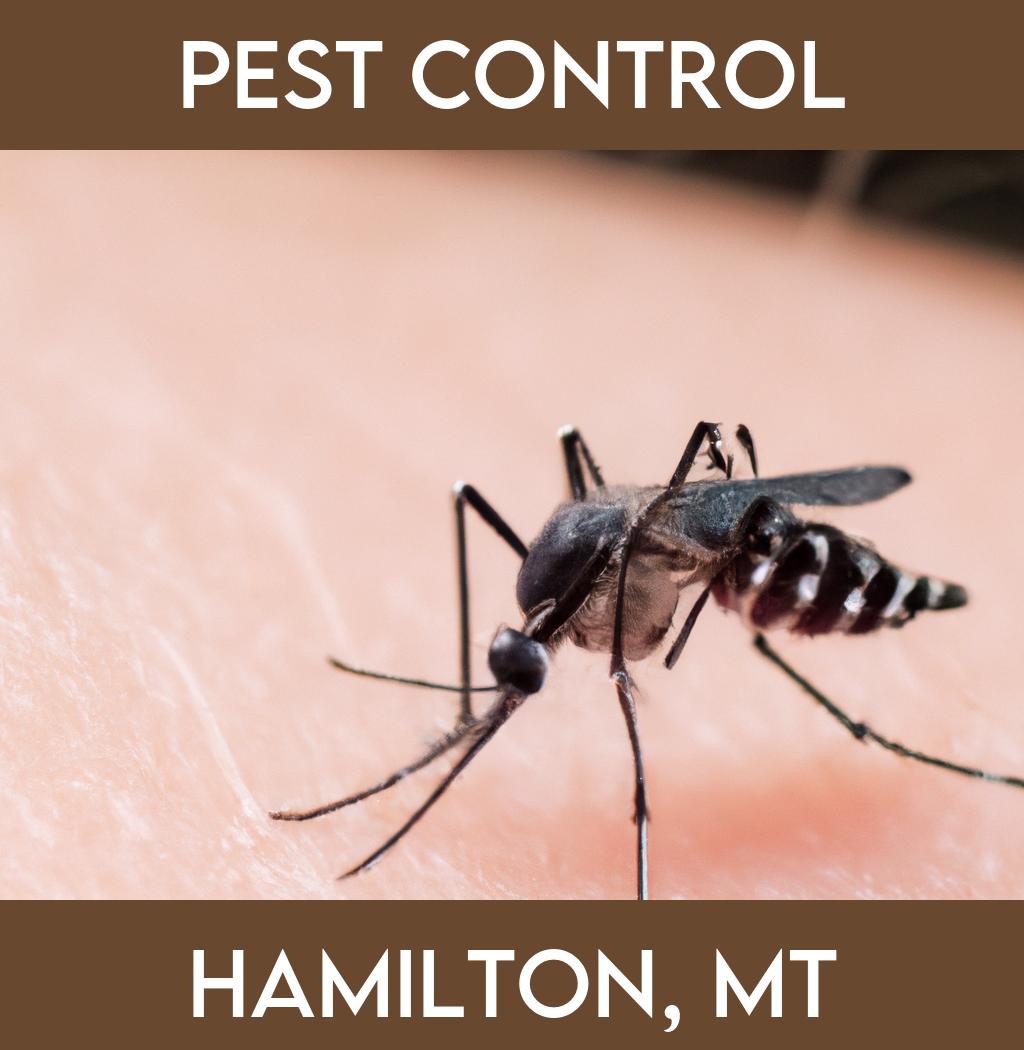 pest control in Hamilton Montana