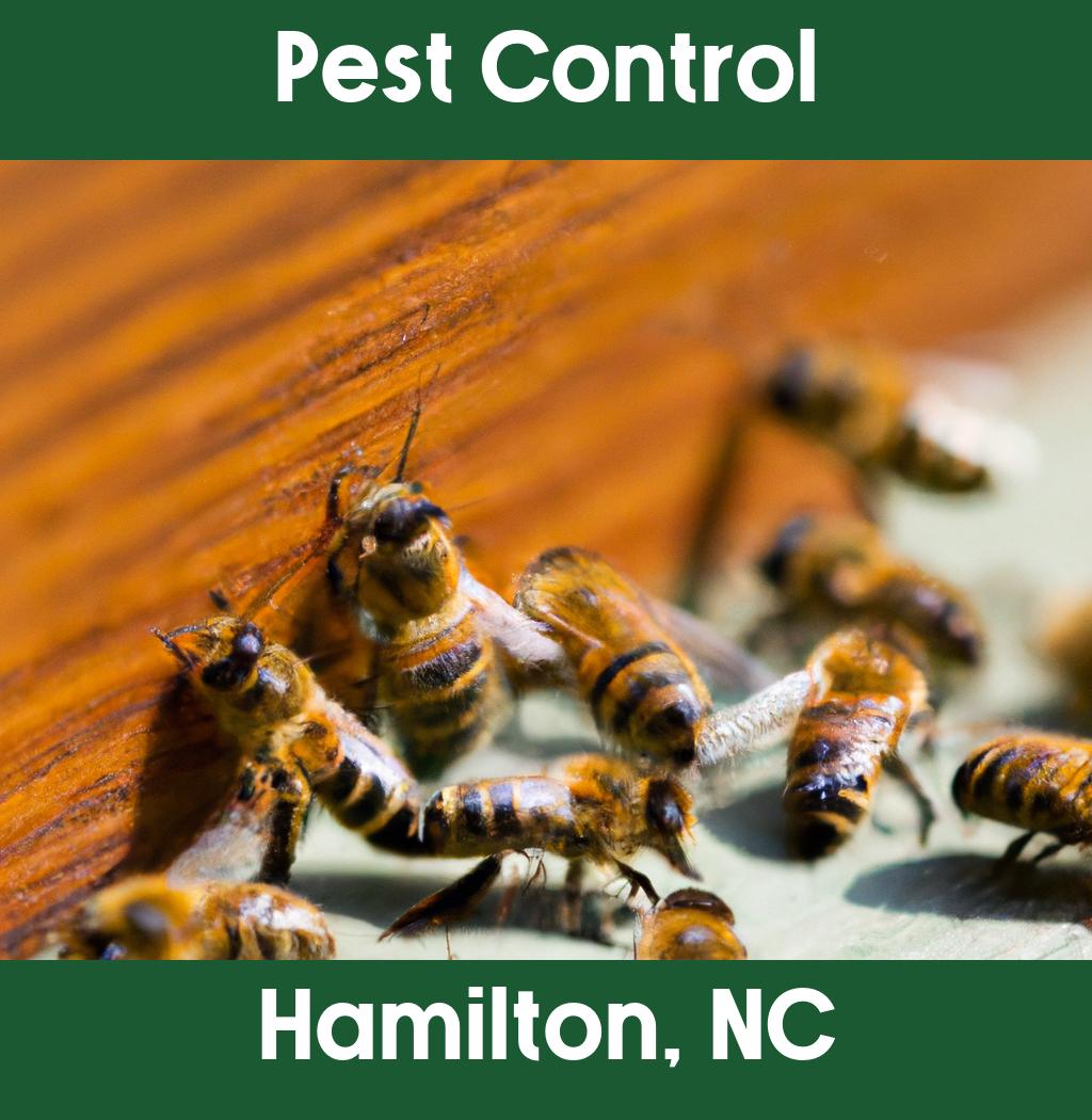 pest control in Hamilton North Carolina