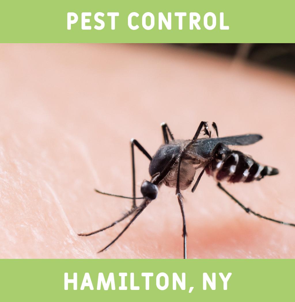 pest control in Hamilton New York