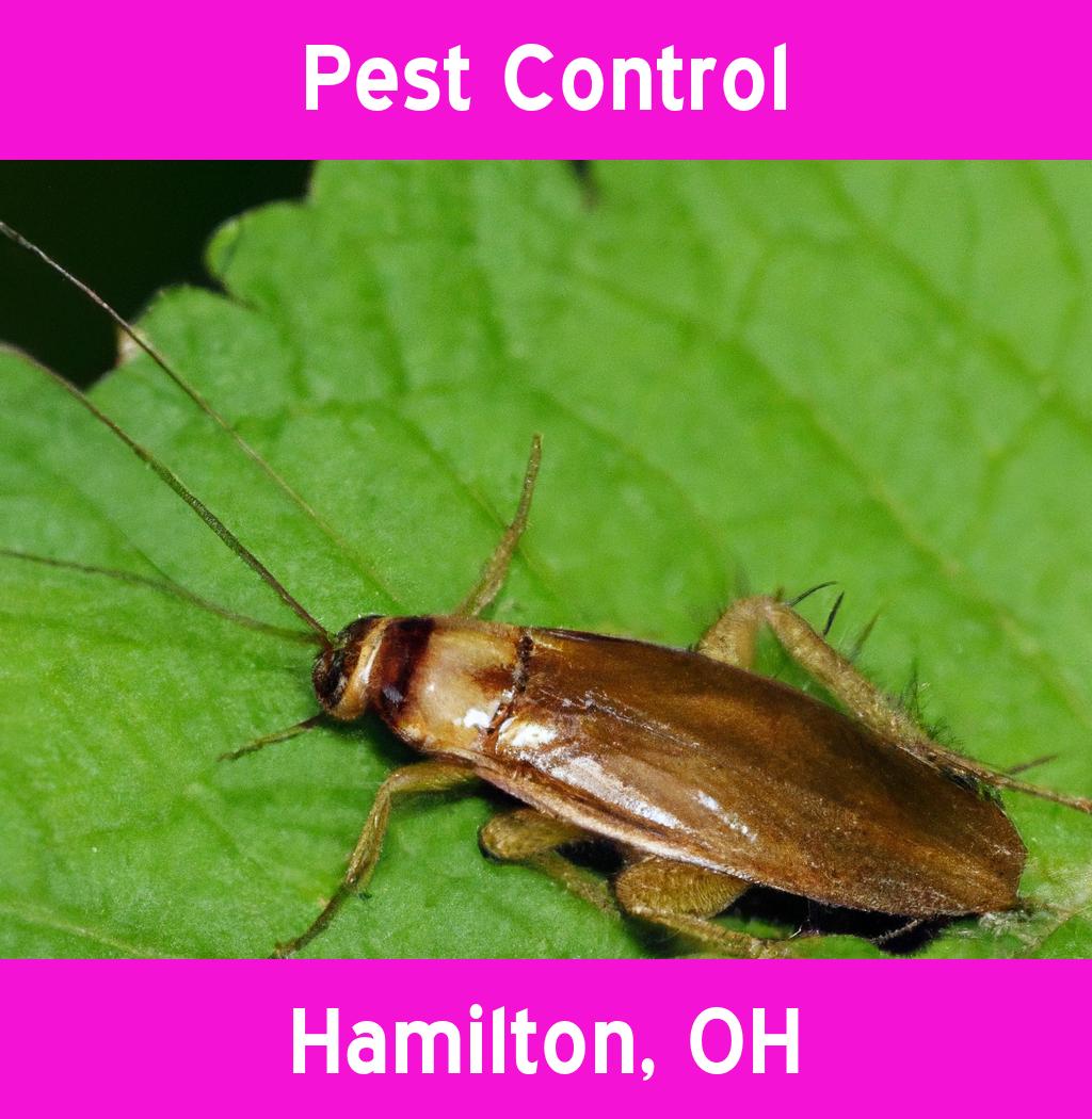 pest control in Hamilton Ohio