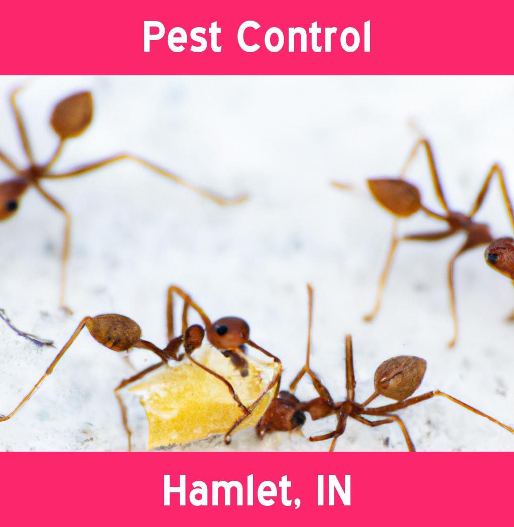 pest control in Hamlet Indiana