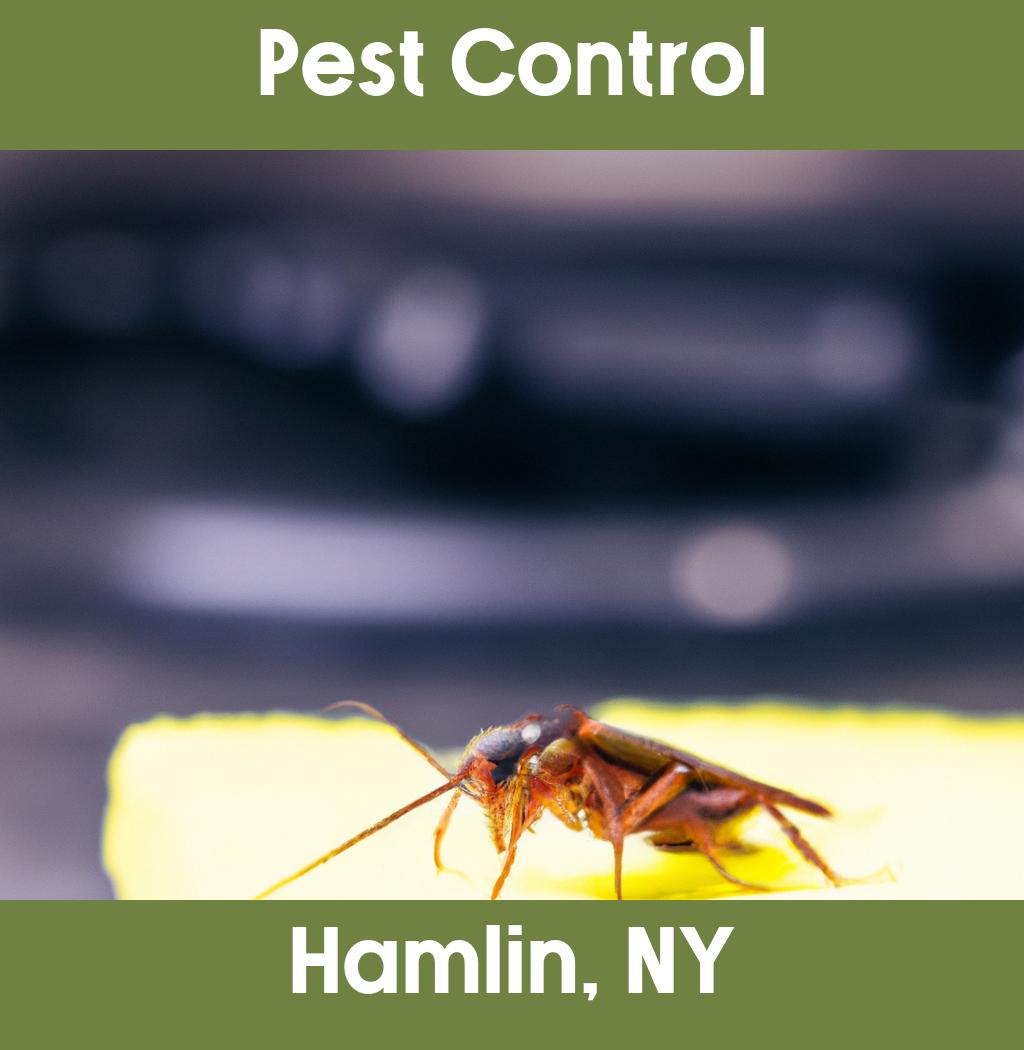 pest control in Hamlin New York