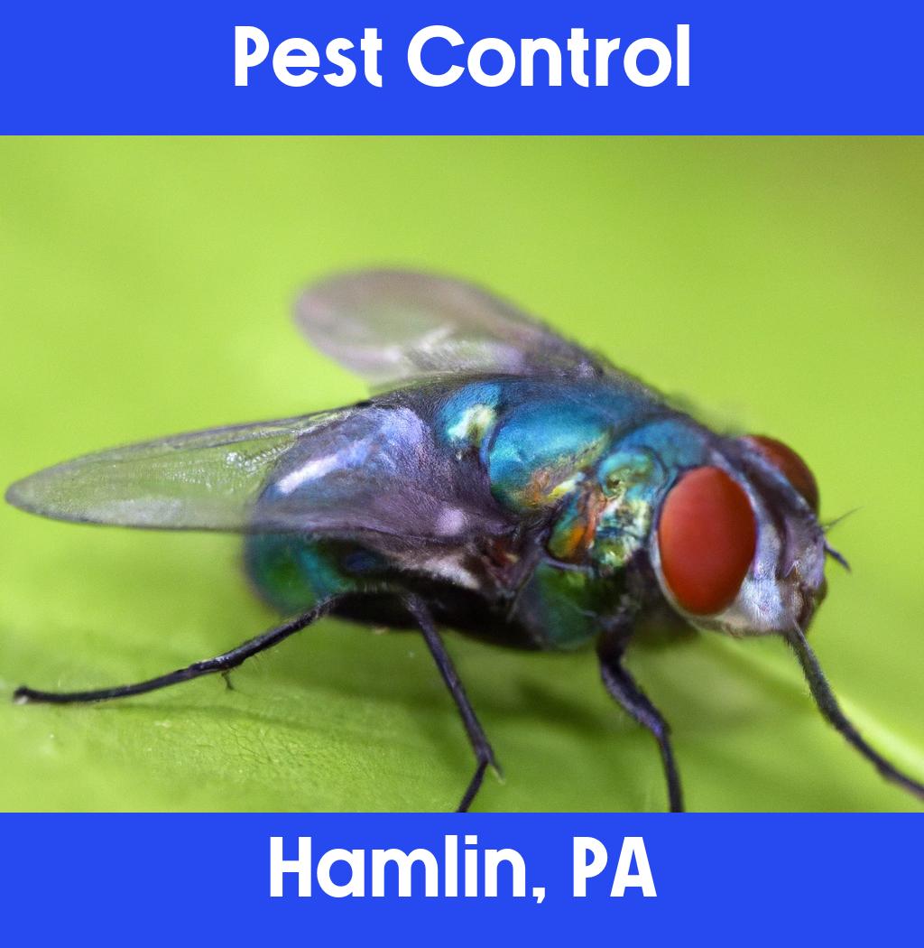 pest control in Hamlin Pennsylvania
