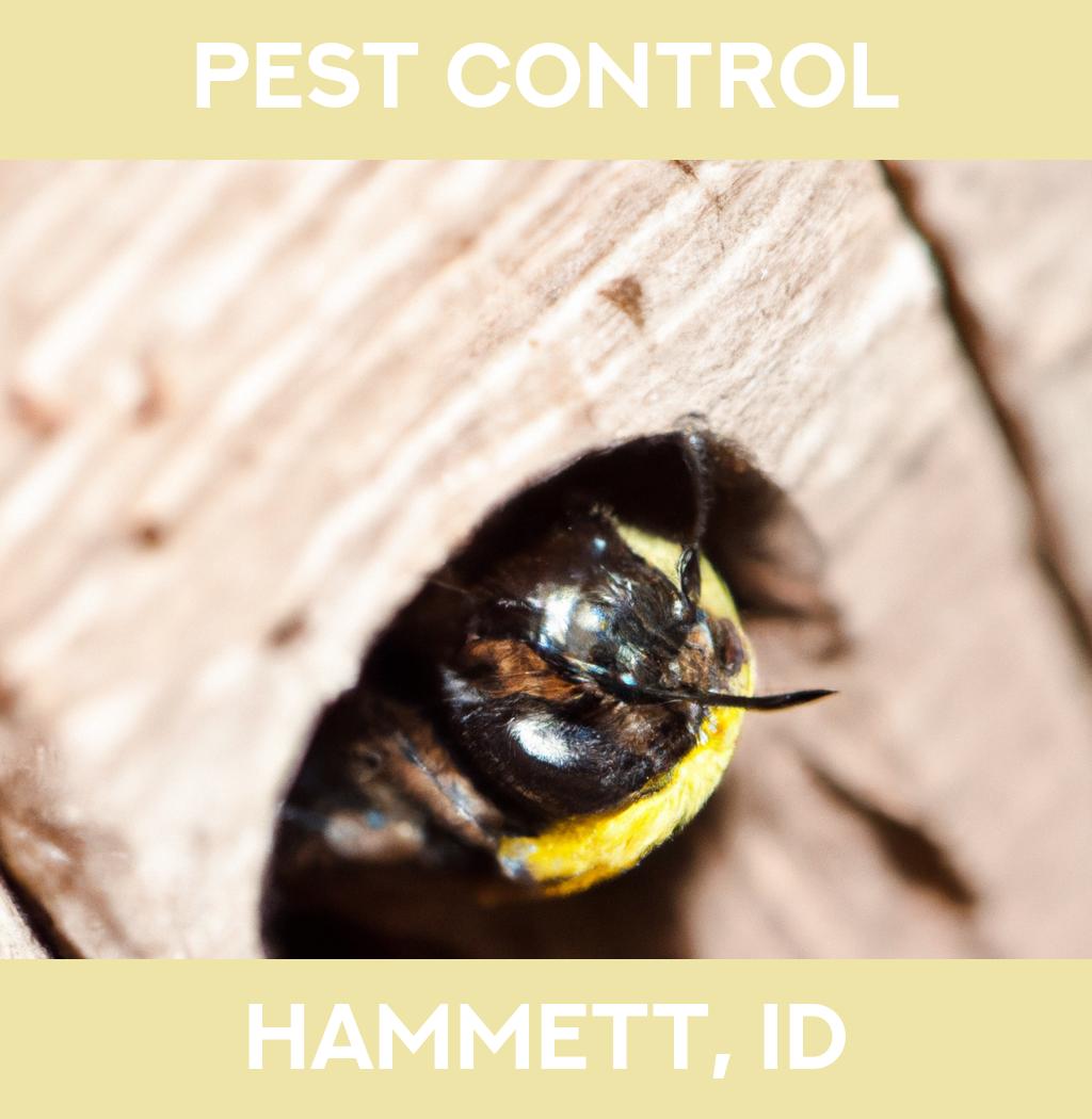 pest control in Hammett Idaho