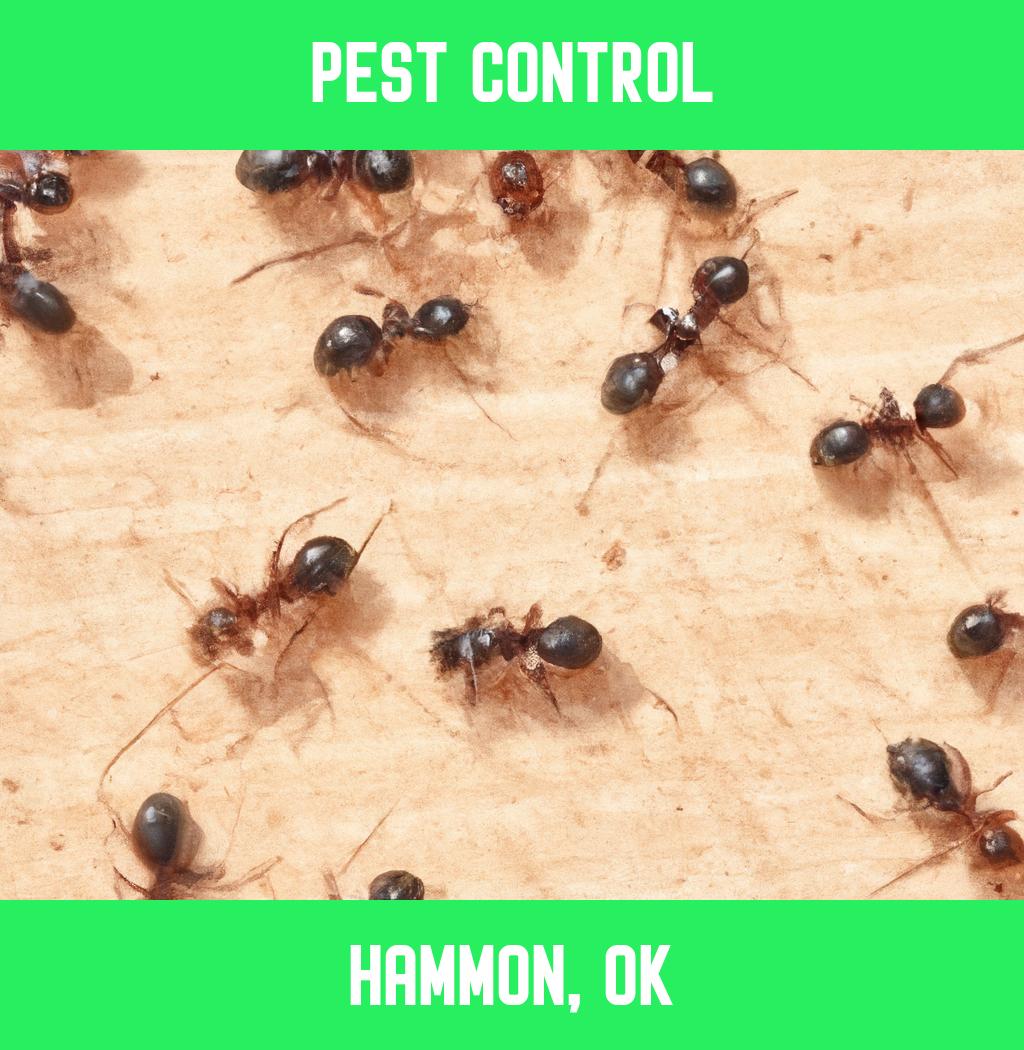 pest control in Hammon Oklahoma