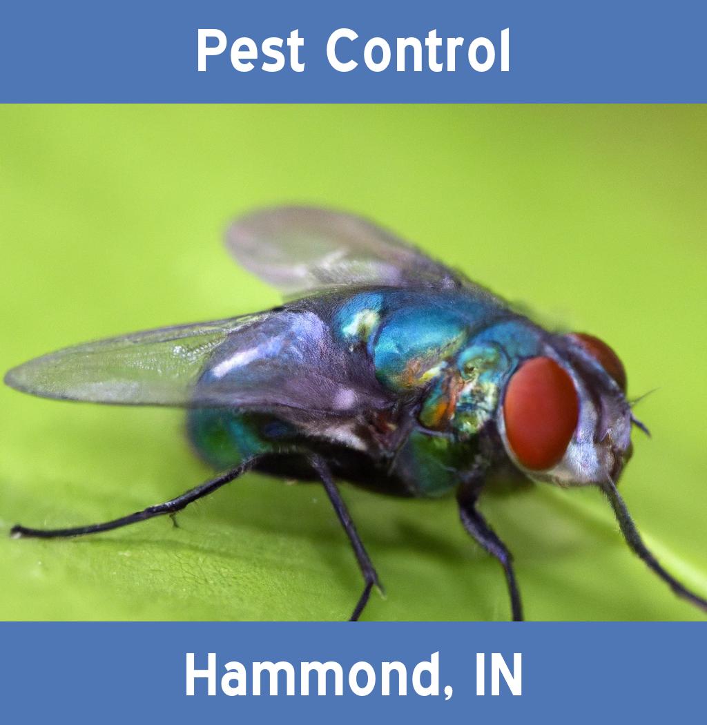 pest control in Hammond Indiana