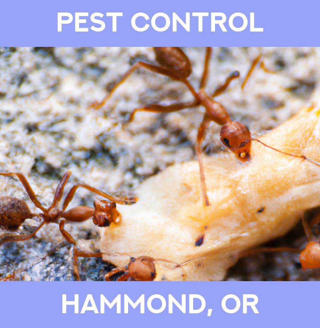 pest control in Hammond Oregon