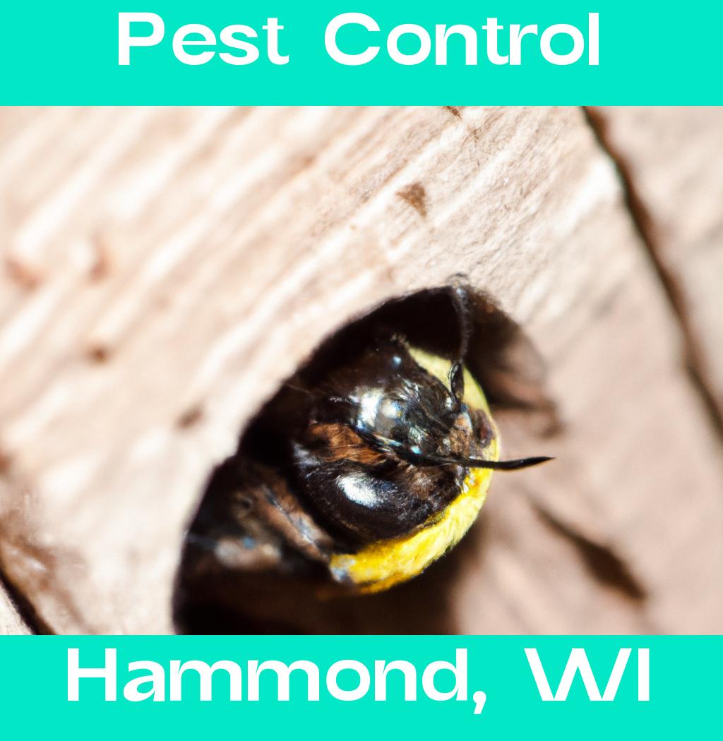 pest control in Hammond Wisconsin