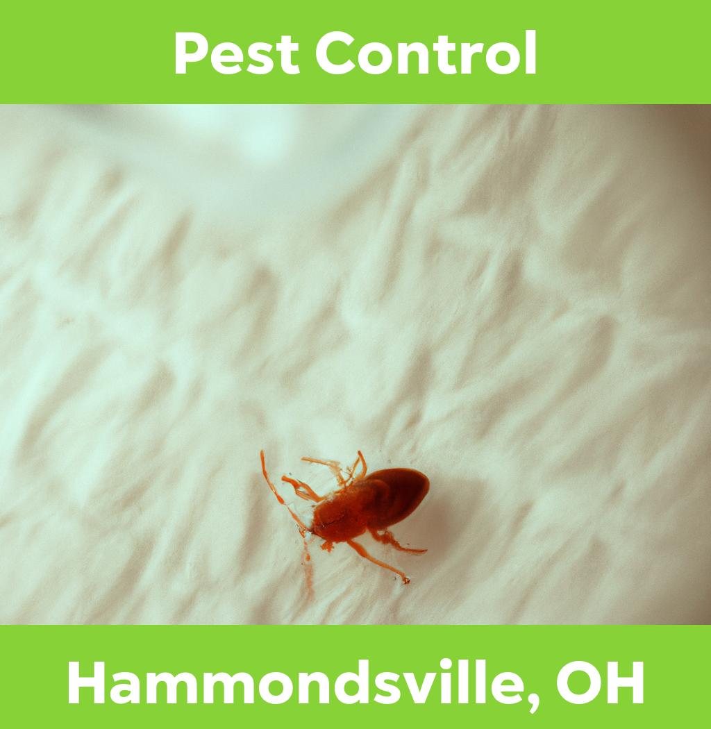 pest control in Hammondsville Ohio