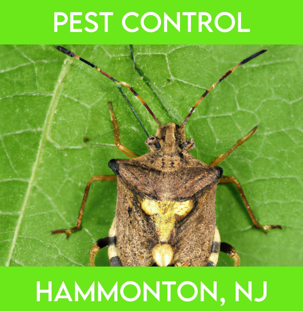 pest control in Hammonton New Jersey
