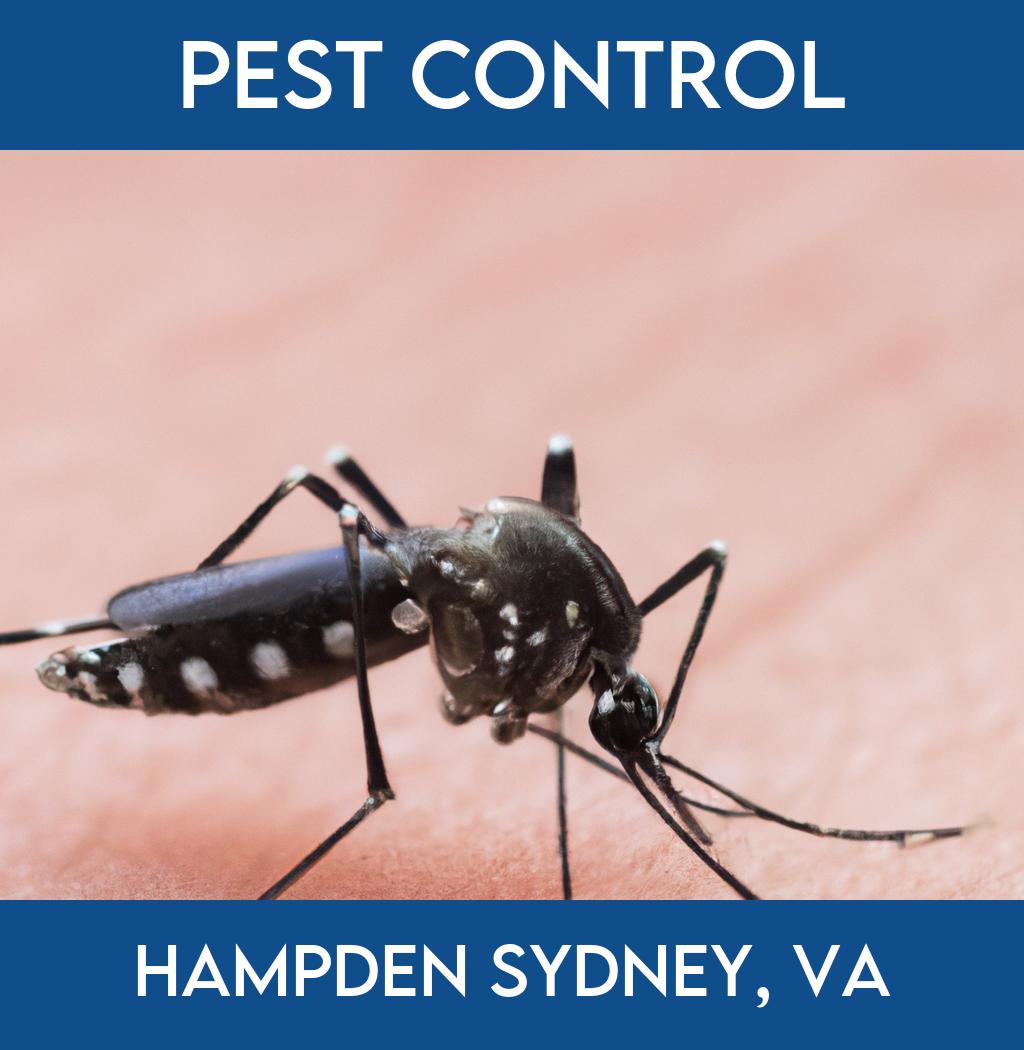 pest control in Hampden Sydney Virginia