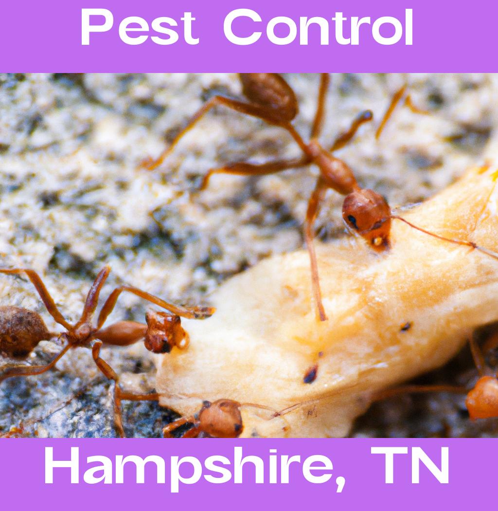 pest control in Hampshire Tennessee