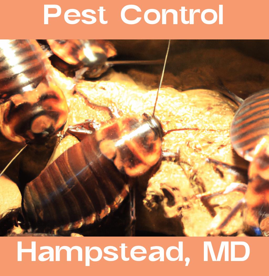 pest control in Hampstead Maryland