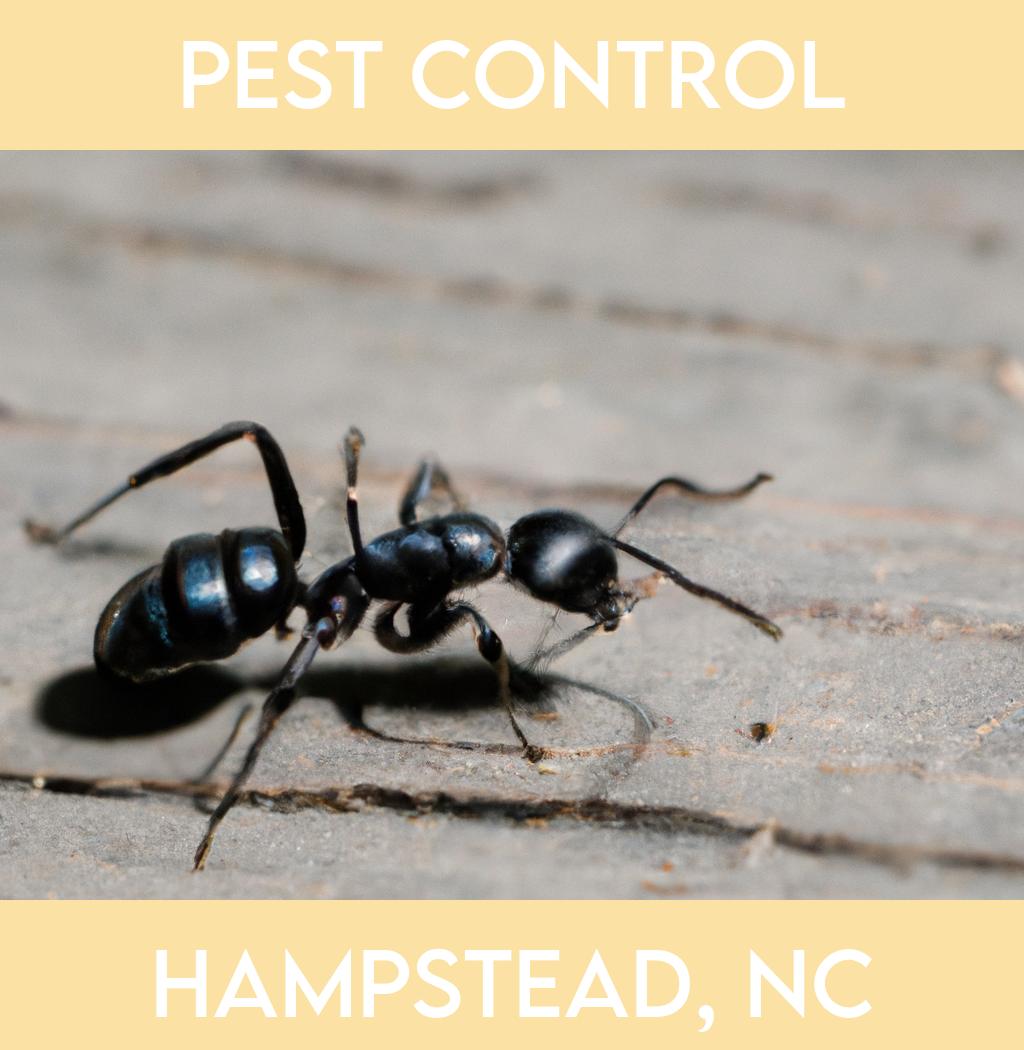 pest control in Hampstead North Carolina